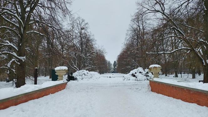 Zamojski Park pod śniegiem