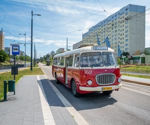 Łódzkie Linie Turystyczne powracają na ulice miasta. Gdzie pojedziemy w tym roku?