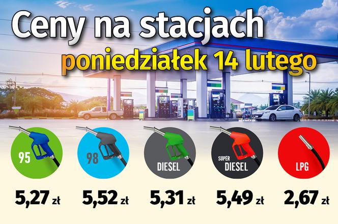 SG Ceny na stacjach 14 lutego