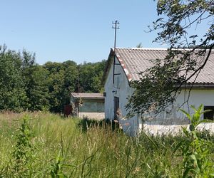 Kobieta zastrzelona na parkingu przy szkole. Znaleziono też ciało jej męża