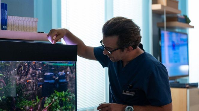 Na dobre i na złe odc. 936. Artur Bart (Piotr Głowacki)