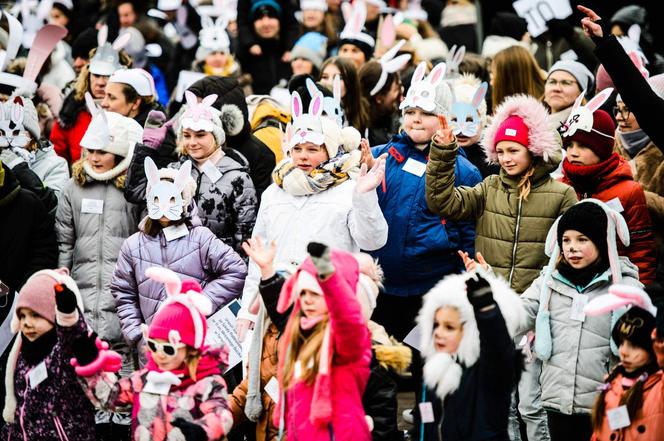 Nietypowy rekord pobity w Tarnobrzegu. Setki osób przebrało się za... króliki 