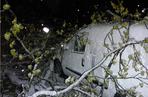 Śnieżyca w Mrągowie. Upadające drzewo uszkodziło trzy auta i zerwało linię energetyczną