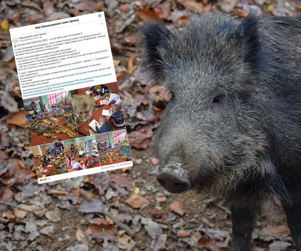 Z okazji Dnia Zwierząt pokazali dzieciom skóry i futra