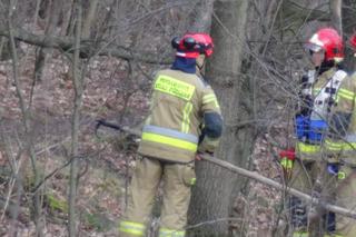Makabra w Tworkach. W stawie pływały zwłoki mężczyzny. Pilna akcja