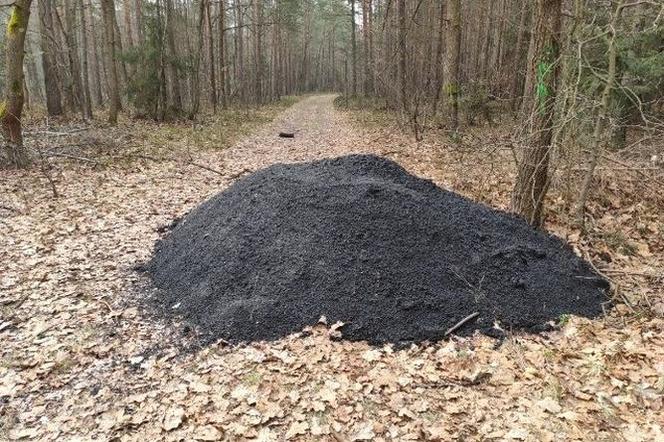 Ktoś wylał gorący asfalt w lesie pod Chrzanowem