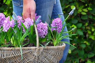 Najpiękniejsze wiosenne kwiaty