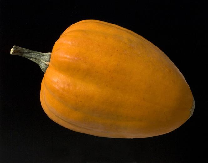 Dynia typu Acorn (dynia żołędziowa) 