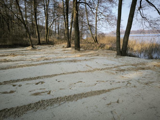 Osieczna przygotowuje plaże na Stanisławówce 