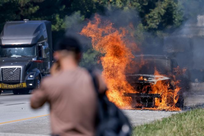 Floryda pod wodą. Mieszkańcy muszą uważać na aligatory