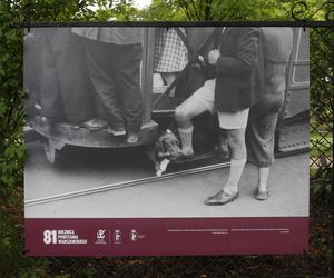 Powstanie Warszawskie w kadrze Stefana Starby Bałuka. Cichociemny szedł z aparatem do Powstania