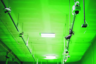 Al poluje na strzelców w szkołach