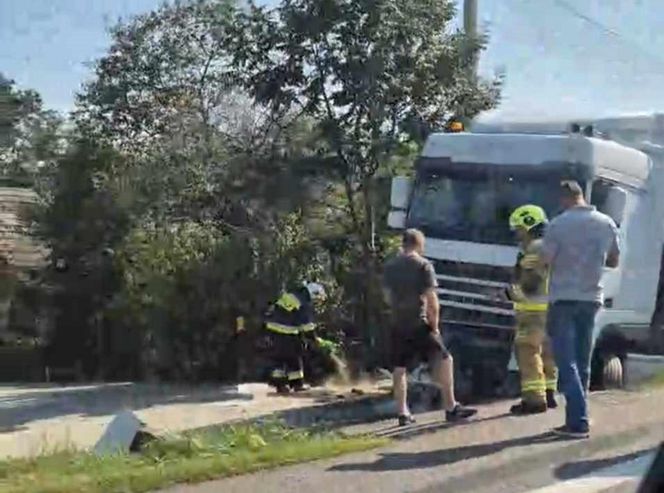  Kierowcę ciężarówki użądliła pszczoła, uderzył w przepust.