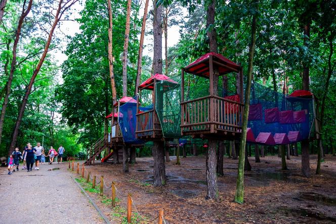 Spacer w koronach drzew w Pomiechówku – atrakcje dla dzieci