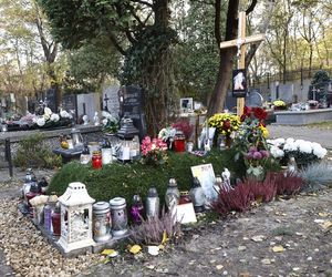 Tak wyglądają groby Zapasiewicza, Tyma, Kołaczkowskiej, Stoparczyk