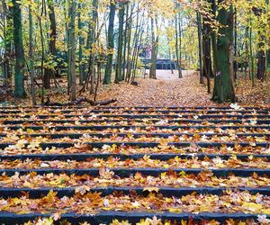 Porządkowanie terenu wokół wieży Quistorpa