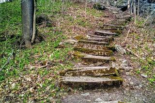 To najstarszy zamek w Polsce. Ma ponad 850 lat i jest na Dolnym Śląsku