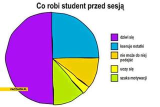 Tak studenci walczą o zaliczenie! Zobacz najlepsze MEMY o sesji!
