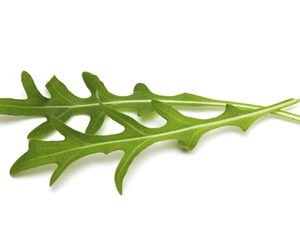 Rukola: właściwości, propozycje podania. Przepis na sałatkę z rukoli