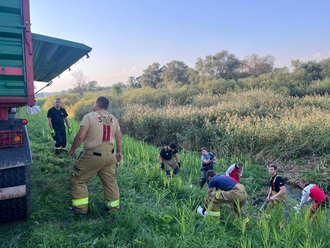 Pracowita doba w zagrożonym powodzią powiecie górowskim 