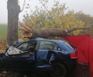 Tragiczny wypadek na drodze Mądrzechowo – Ząbinowice. 18-latka nie żyje [22.10.2022]