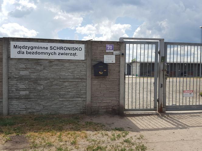 Dyskusyjna poprawa drogi do schroniska w Henrykowie