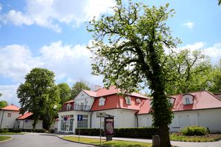 METAMORFOZA SZKÓŁ ARTYSTYCZNYCH