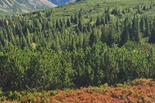 Tatry jesienią 2025