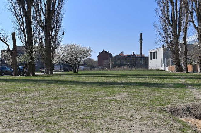 Rewitalizacja Dolnego Miasta i Starego Przedmieścia