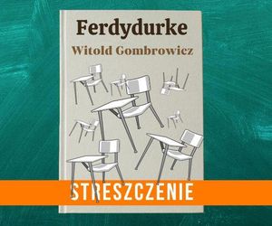 Czas na FERDYDURKE!