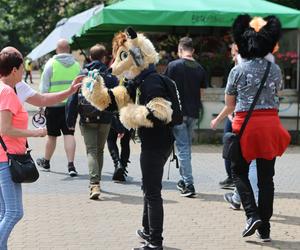 Marsz futrzaków w Lublinie. Tak wyglądał I Lubelski Fursuitwalk