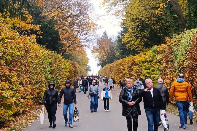 1 listopada na Cmentarzu Centralnym w Szczecinie