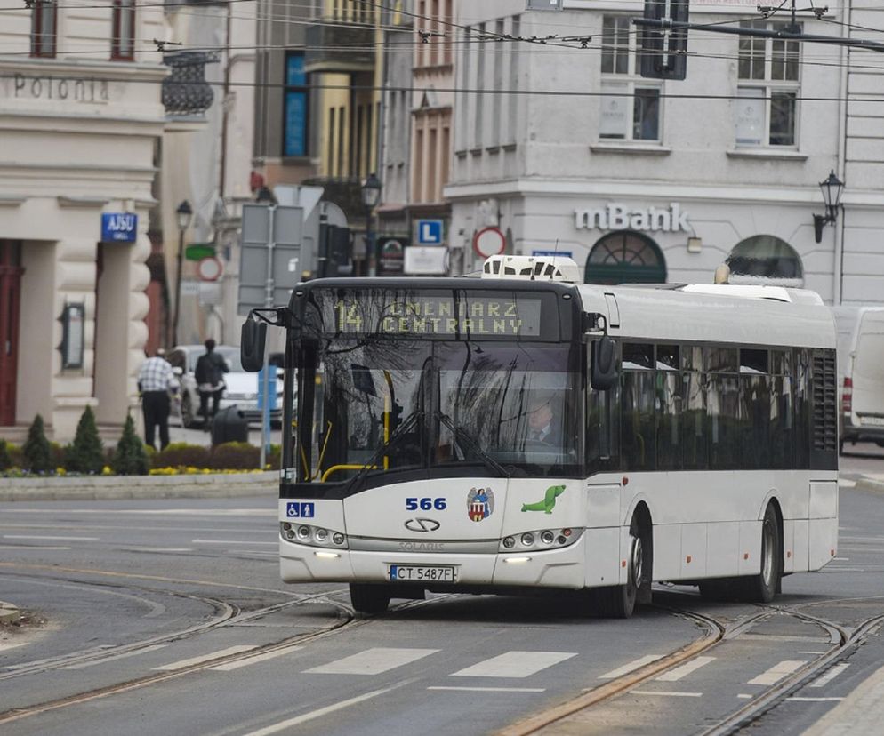 Autobus MZK w Toruniu jedzie na cmentarz