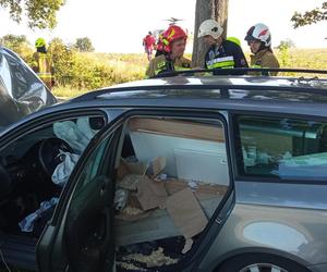 Samochód wbił się w drzewo niedaleko Strzelec Krajeńskich. Kierowca cudem przeżył!