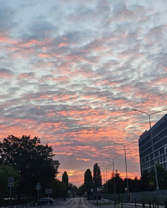 Zdjęcia Poznania od naszych Czytelników. Sprawdź te niesamowite ujęcia!