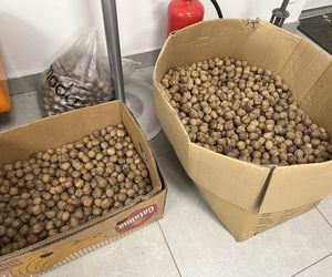 Na smakołyki czekają pupile konińskiego Parku Chopina