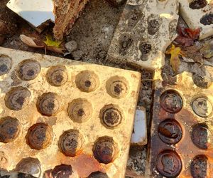 Pozostałości po Fabryce Czekolady Venus w Warszawie