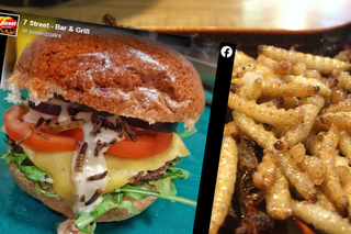 Jadalne robaki w burgerze? Popularna sieć wprowadziła kanapkę z mącznikiem