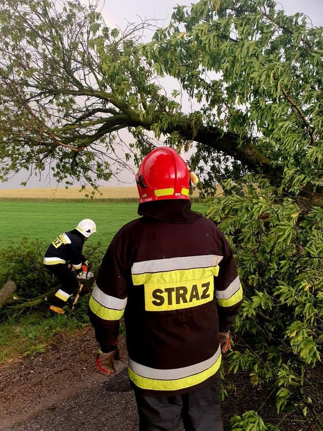 Potężna burza przeszła przez Bydgoszcz i region. Ponad 400 interwencji strażaków!