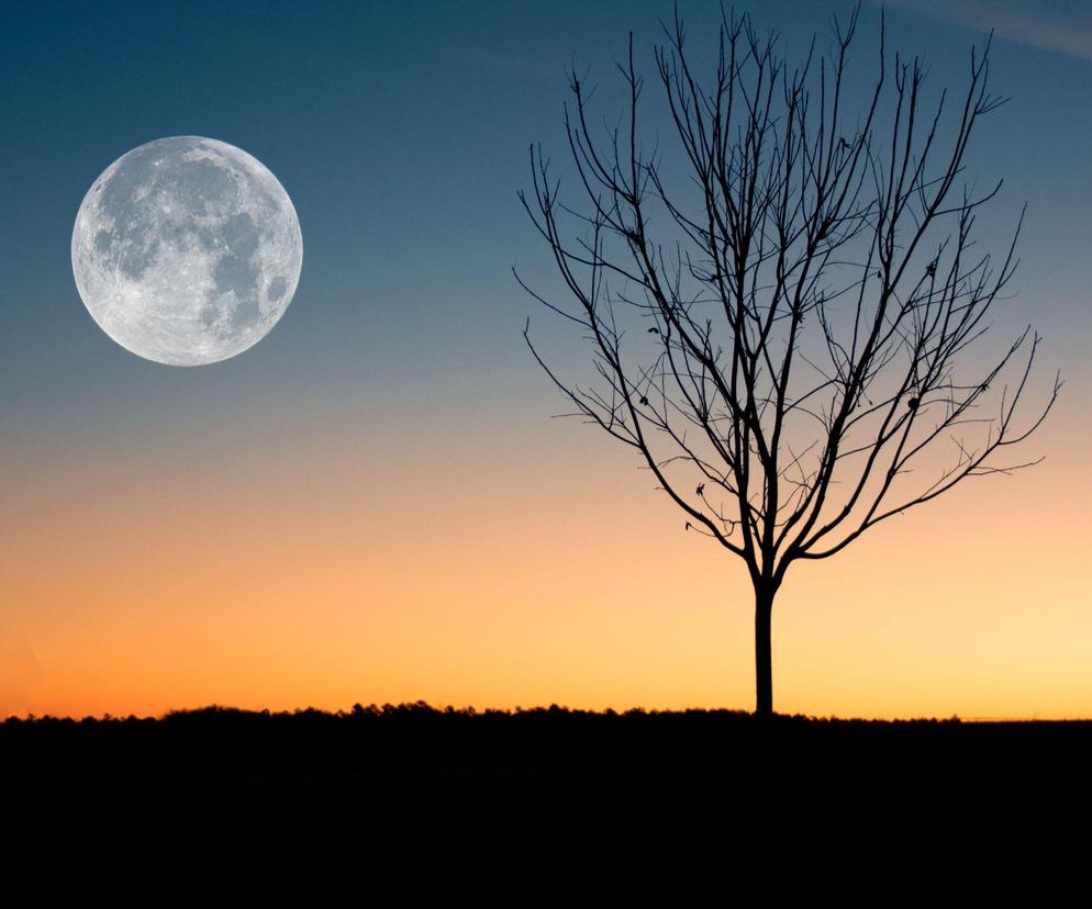 Pełnia Księżyca w kwietniu 2024 zmieni wszystko. Te znaki najbardziej odczują jej wpływ 