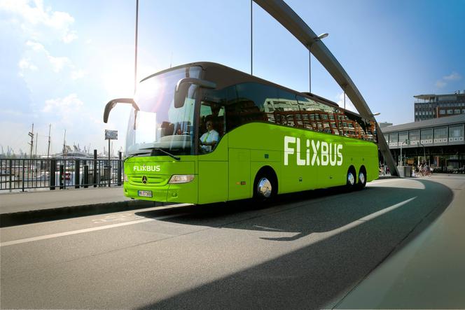 5 lat FlixBusa w Polsce: 360 miast i 184 mln kilometrów
