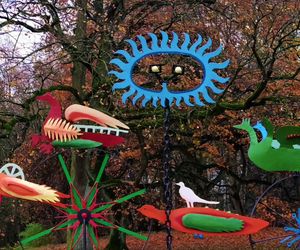 Ogniste Ptaki w Parku Kasprowicza w Szczecinie