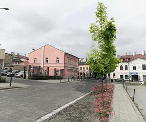 Centrum Lublina ma się zazielenić. Będą też zmiany w organizacji ruchu 