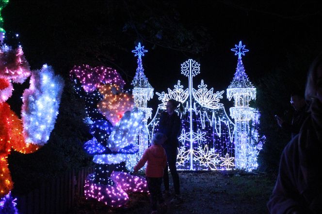 Byliśmy na otwarciu Lumina Park 2024 w Zamku Topacz