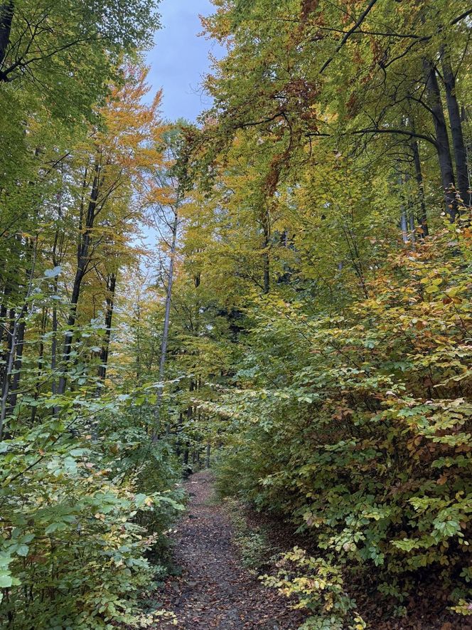 Szczyrk na jesiennych zdjęciach