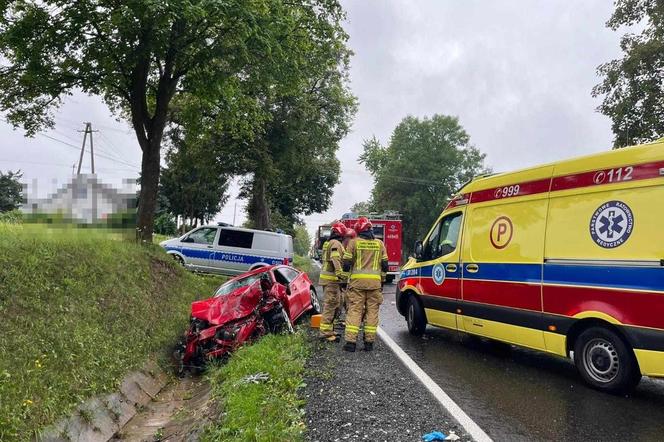 Wypadek w Gościeradowie Folwarku. Dwa auta wylądowały w rowie