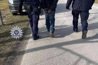 Nie dał się pogłaskać. 42-latek poćwiartował kota. Internauta: ZŁO, które trudno wyrazić słowami