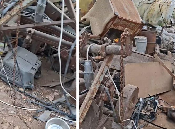 Interwencja OTOZ Animals oddział kujawsko-pomorski