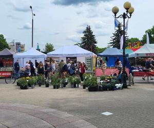 Stoiska wystawców podczas Jarmarku św. Stanisława można zwiedzać w godz. 10.00-18.00 w dn. 10 i 11 maja