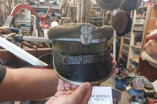 Gniazdo Staroci w Wiśniowej